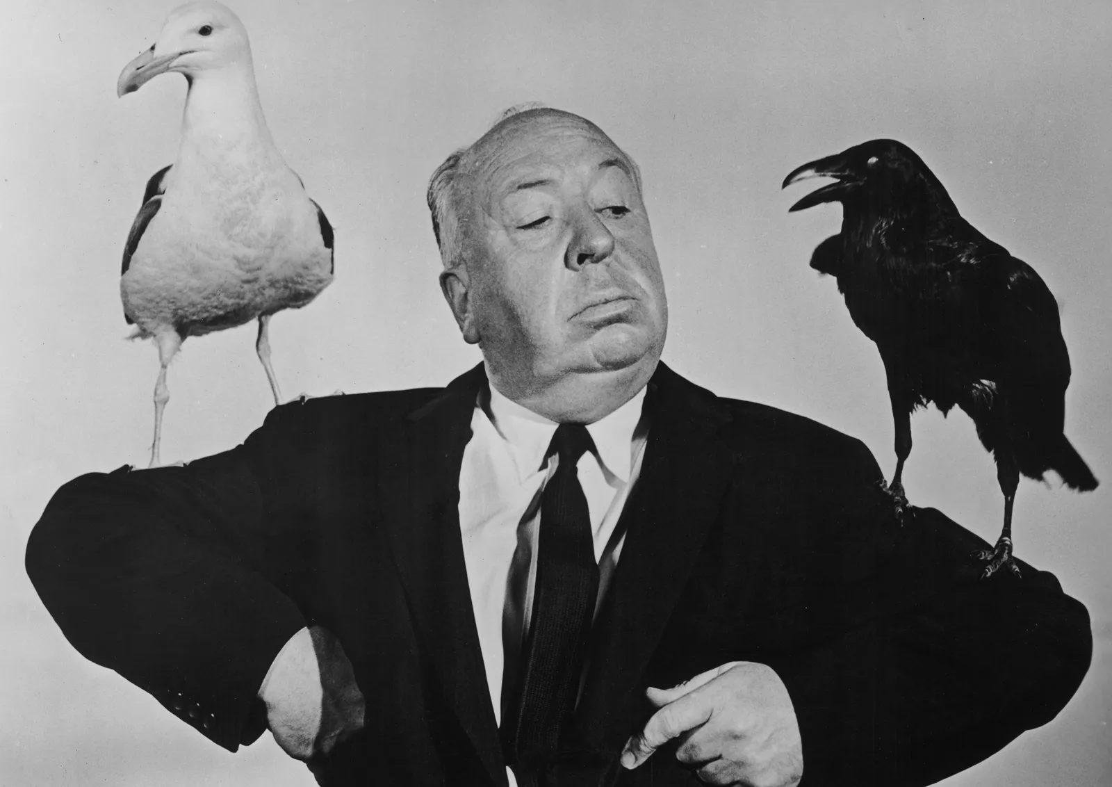 Alfred Hitchcock, Maestro del Storytelling